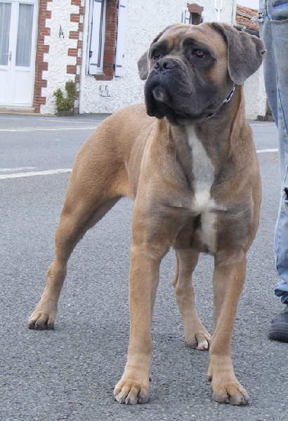 Calhia (Sans Affixe)