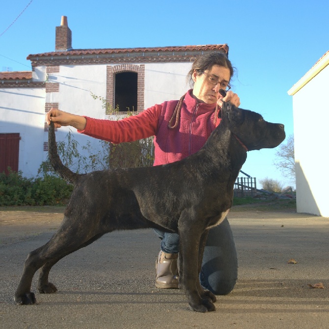 Rebecca Beauvery - Jeune male disponible